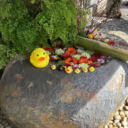 ヒメ日記 2025/06/11 15:00 投稿 たえこ 熟女デリヘル秘宝館Z