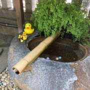 ヒメ日記 2025/06/30 17:07 投稿 たえこ 熟女デリヘル秘宝館Z