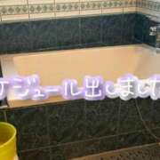 ヒメ日記 2025/07/30 15:00 投稿 たえこ 熟女デリヘル秘宝館Z