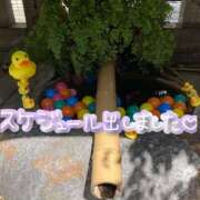 ヒメ日記 2025/09/24 15:00 投稿 たえこ 熟女デリヘル秘宝館Z