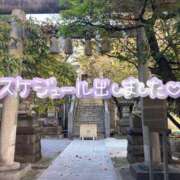 ヒメ日記 2025/11/17 15:00 投稿 たえこ 熟女デリヘル秘宝館Z