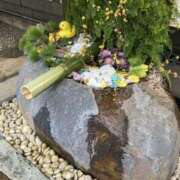 ヒメ日記 2026/01/31 15:00 投稿 たえこ 熟女デリヘル秘宝館Z