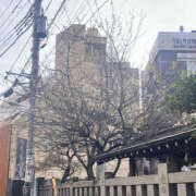 ヒメ日記 2026/02/07 15:00 投稿 たえこ 熟女デリヘル秘宝館Z