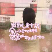 ヒメ日記 2026/04/09 11:00 投稿 たえこ 熟女デリヘル秘宝館Z