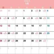 ヒメ日記 2024/12/27 01:14 投稿 のぞみ 桃李（とうり）