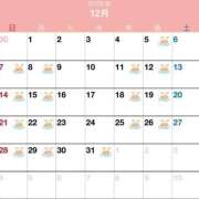 ヒメ日記 2025/11/22 01:14 投稿 のぞみ 桃李（とうり）