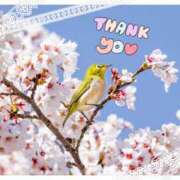 ヒメ日記 2026/04/04 17:56 投稿 みなと 宇都宮人妻デリバリー 一期一会 二章