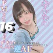 ヒメ日記 2025/05/22 11:45 投稿 かおる ベアトリス