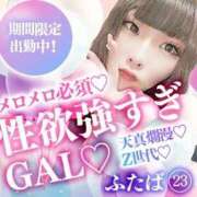 ヒメ日記 2025/06/18 18:45 投稿 かおる ベアトリス