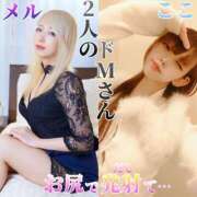 ヒメ日記 2025/08/13 05:45 投稿 かおる ベアトリス