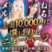 ヒメ日記 2025/10/17 07:03 投稿 かおる ベアトリス