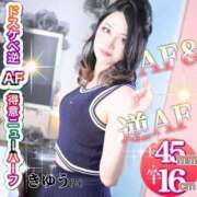 ヒメ日記 2025/10/28 05:45 投稿 かおる ベアトリス