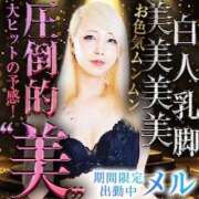 ヒメ日記 2025/12/04 13:45 投稿 かおる ベアトリス