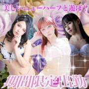 ヒメ日記 2026/03/17 06:54 投稿 かおる ベアトリス