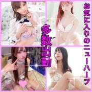 ヒメ日記 2026/04/03 15:11 投稿 かおる ベアトリス