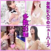 ヒメ日記 2026/04/06 19:53 投稿 かおる ベアトリス