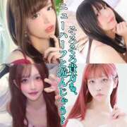 ヒメ日記 2026/04/11 14:01 投稿 かおる ベアトリス