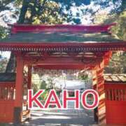 ヒメ日記 2024/12/11 00:21 投稿 かほ 成田人妻花壇