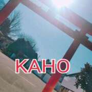 ヒメ日記 2025/01/23 00:12 投稿 かほ 成田人妻花壇