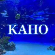 ヒメ日記 2025/03/17 18:39 投稿 かほ 成田人妻花壇