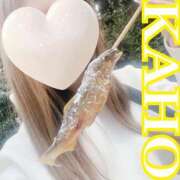 ヒメ日記 2025/04/06 01:09 投稿 かほ 成田人妻花壇