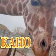 ヒメ日記 2025/05/06 19:13 投稿 かほ 成田人妻花壇