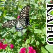 ヒメ日記 2025/06/07 00:12 投稿 かほ 成田人妻花壇