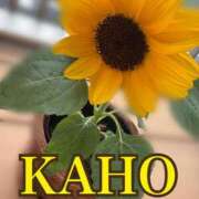 ヒメ日記 2025/06/18 00:12 投稿 かほ 成田人妻花壇