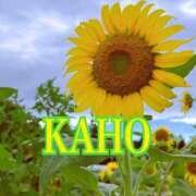 ヒメ日記 2025/07/13 17:09 投稿 かほ 成田人妻花壇