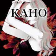 ヒメ日記 2025/11/09 19:58 投稿 かほ 成田人妻花壇