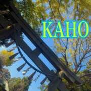 ヒメ日記 2025/11/16 01:18 投稿 かほ 成田人妻花壇