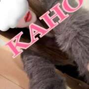 ヒメ日記 2026/01/08 20:07 投稿 かほ 成田人妻花壇