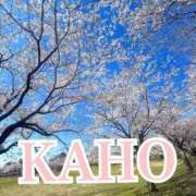 ヒメ日記 2026/04/04 01:12 投稿 かほ 成田人妻花壇