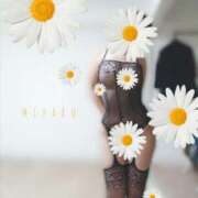 ヒメ日記 2025/03/02 01:04 投稿 みはる タレント倶楽部Around40