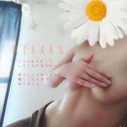 ヒメ日記 2025/04/04 12:30 投稿 みはる タレント倶楽部Around40