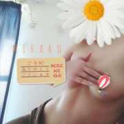 ヒメ日記 2025/04/05 14:14 投稿 みはる タレント倶楽部Around40