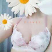 ヒメ日記 2025/04/07 19:26 投稿 みはる タレント倶楽部Around40