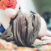 ヒメ日記 2025/04/26 00:26 投稿 みはる タレント倶楽部Around40