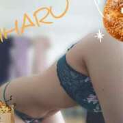 ヒメ日記 2025/09/14 14:16 投稿 みはる タレント倶楽部Around40