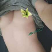 ヒメ日記 2025/10/26 00:28 投稿 みはる タレント倶楽部Around40