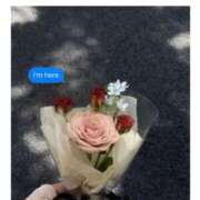 ヒメ日記 2026/03/02 20:32 投稿 かなめ しろうとCollection