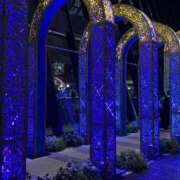 ヒメ日記 2025/12/15 11:53 投稿 かなみ 府中ダービー