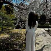 ヒメ日記 2026/04/08 19:11 投稿 ラピス【美の女神】 バニーコレクション 中洲店