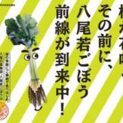 ヒメ日記 2024/03/25 13:05 投稿 るな 人妻艶女の背徳紳士Lab 大阪梅田店