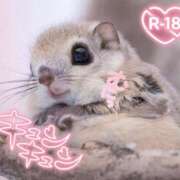 ヒメ日記 2026/04/15 12:06 投稿 ユリア ソープランドMAX‐マックス-