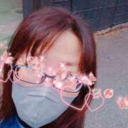 ヒメ日記 2025/03/12 16:19 投稿 れい 人妻美人館