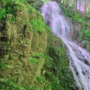 ヒメ日記 2025/05/08 12:55 投稿 れい 人妻美人館