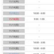 ヒメ日記 2025/11/05 15:17 投稿 れい 人妻美人館