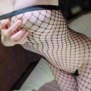 ヒメ日記 2026/02/08 02:53 投稿 れい 人妻美人館