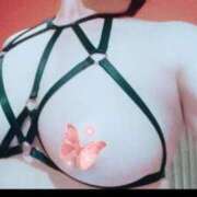 ヒメ日記 2026/03/12 19:52 投稿 れい 人妻美人館